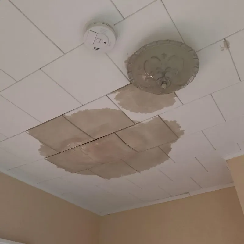 Ceiling Water Damage Repair in Punaluu, HI